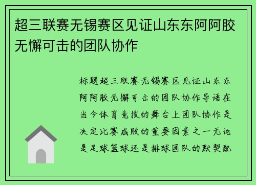超三联赛无锡赛区见证山东东阿阿胶无懈可击的团队协作
