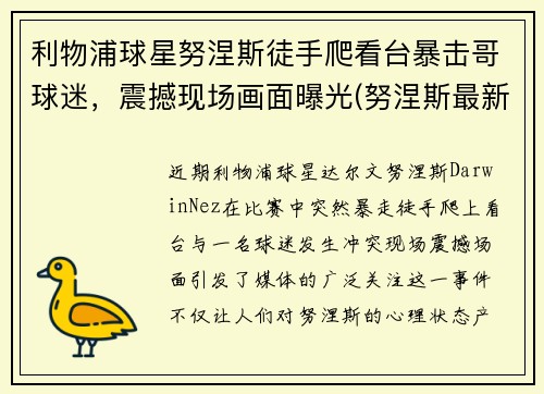 利物浦球星努涅斯徒手爬看台暴击哥球迷，震撼现场画面曝光(努涅斯最新比赛)