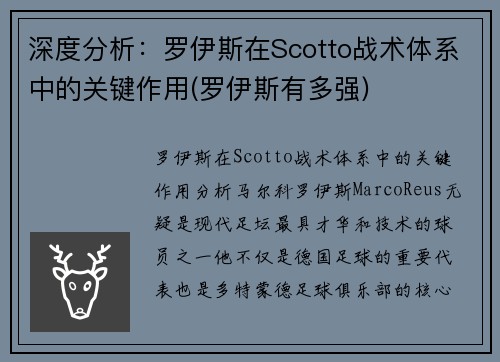 深度分析：罗伊斯在Scotto战术体系中的关键作用(罗伊斯有多强)